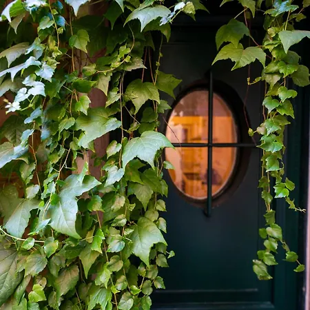 Piazza Navona Ivy Retreat- Under The Light דירה